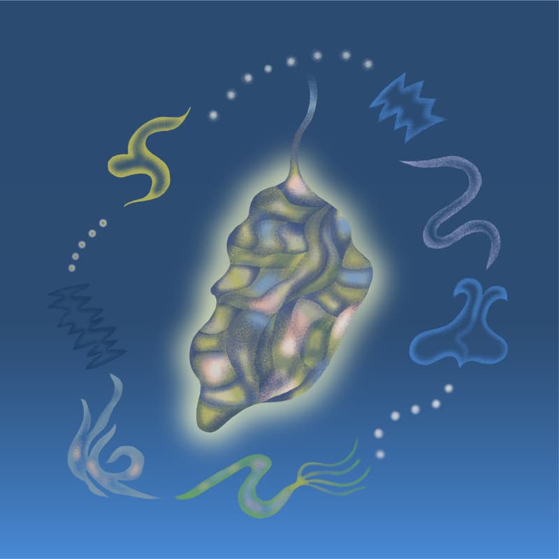 Cover Image for COCOON - An Orchestra Sleepover Concert