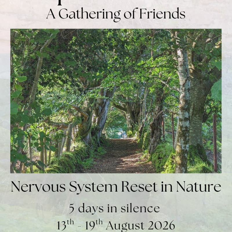Cover Image for 5 Days in Silence. A Nervous System Reset in Nature.