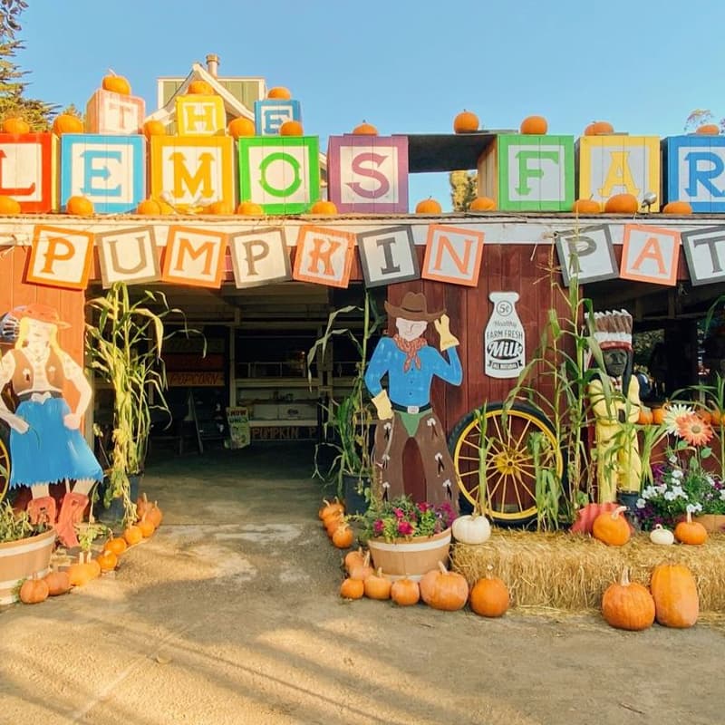 Cover Image for Día de Fotos y Granja en Lemos Farm 🍁🎃
