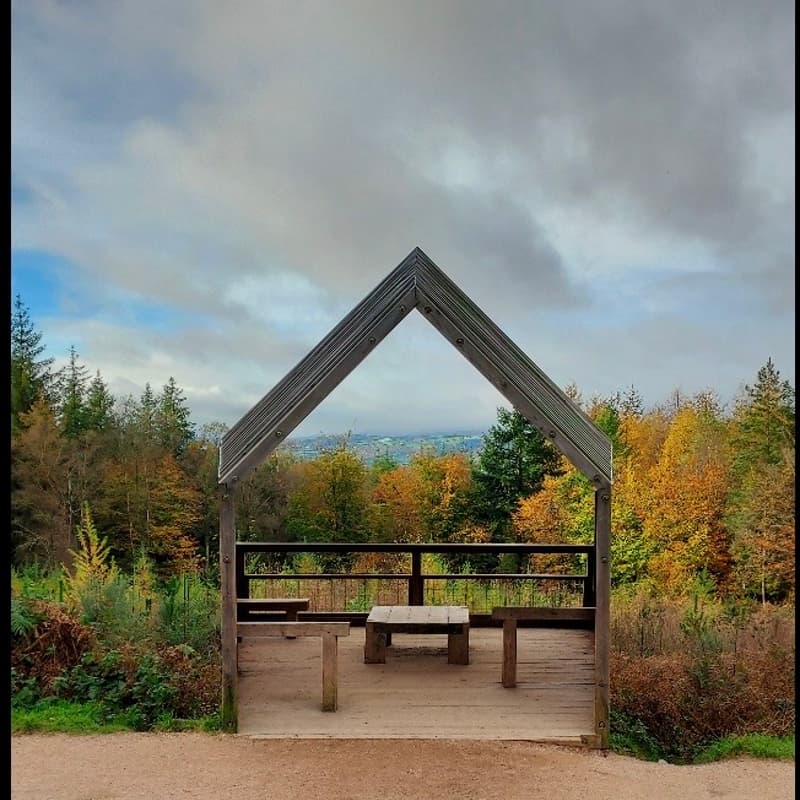 Cover Image for Haldon Forest Walk🌿🤍