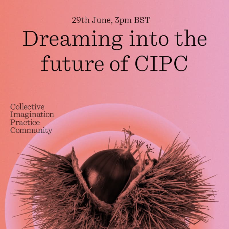 Cover Image for Dreaming into the future of CIPC