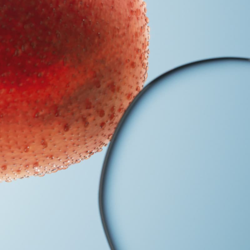 Cover Image for muShanghai× Compound · Longevity Biomarkers Day From the Future | 未来人计划