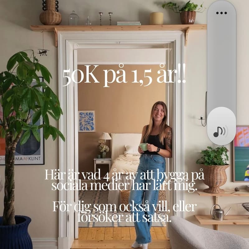 Cover Image for Från 0 följare till förtroende & 50k följare: Så bygger du förtroende och följarbas på sociala medier/ @homedecofrida