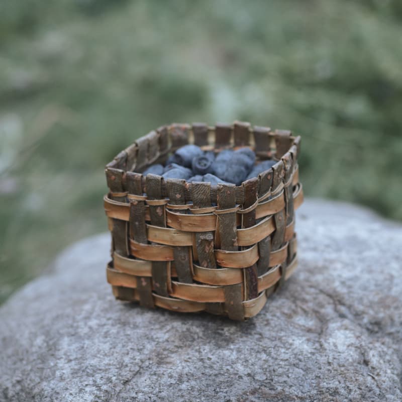 Cover Image for Twill Berry Basket with Willow Bark