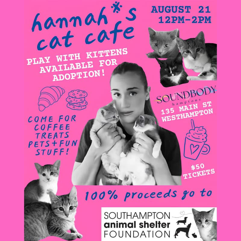 Cover Image for Hannah Berner's Cat Café