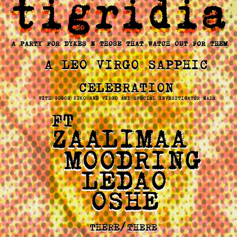 Cover Image for Tigridia @ There/There