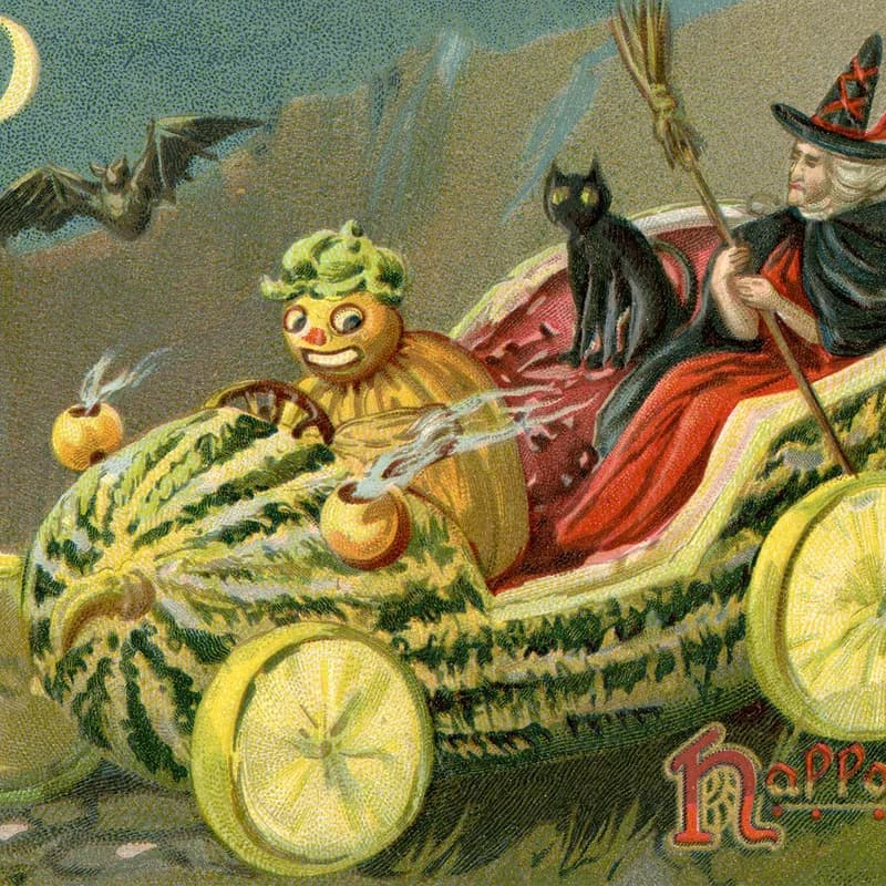 Cover Image for Spooky Soirée: a Pumpkin Carving Party