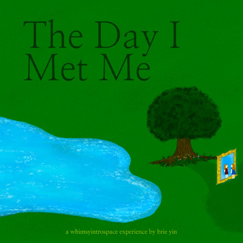 Cover Image for The Day I Met Me