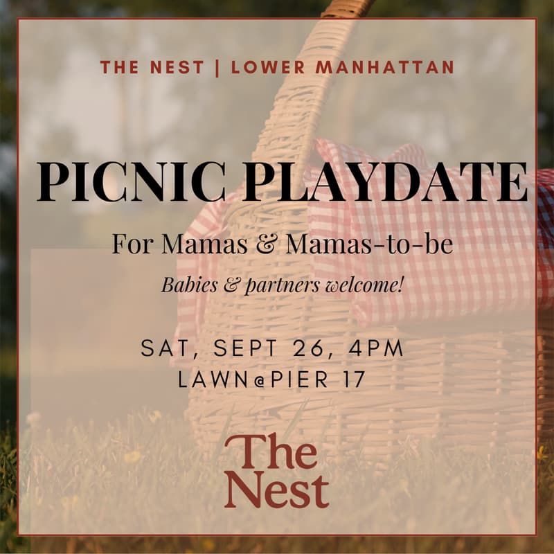 Cover Image for Picnic Playdate 🧺🐣 | The Nest Lower Manhattan