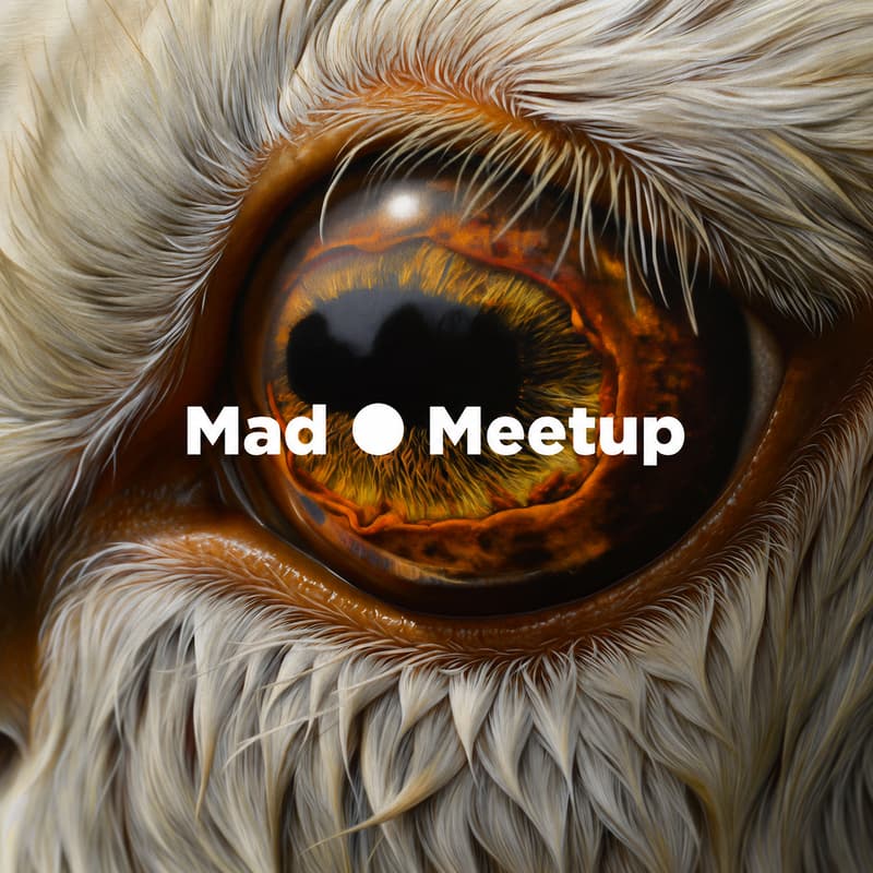 Cover Image for Mad ⚫ Meetup #34: Robotics Data and New Chips