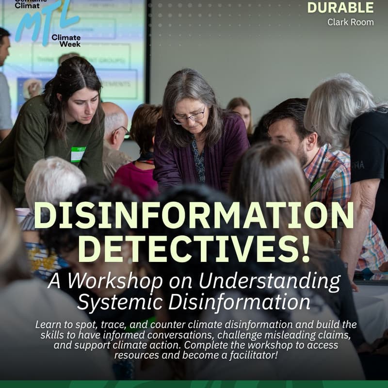 Cover Image for Disinformation Detectives! Workshop on understanding systemic disinformation