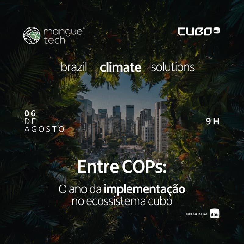 Cover Image for Entre COP30 e COP31: o ano da implementação no ecossistema Cubo