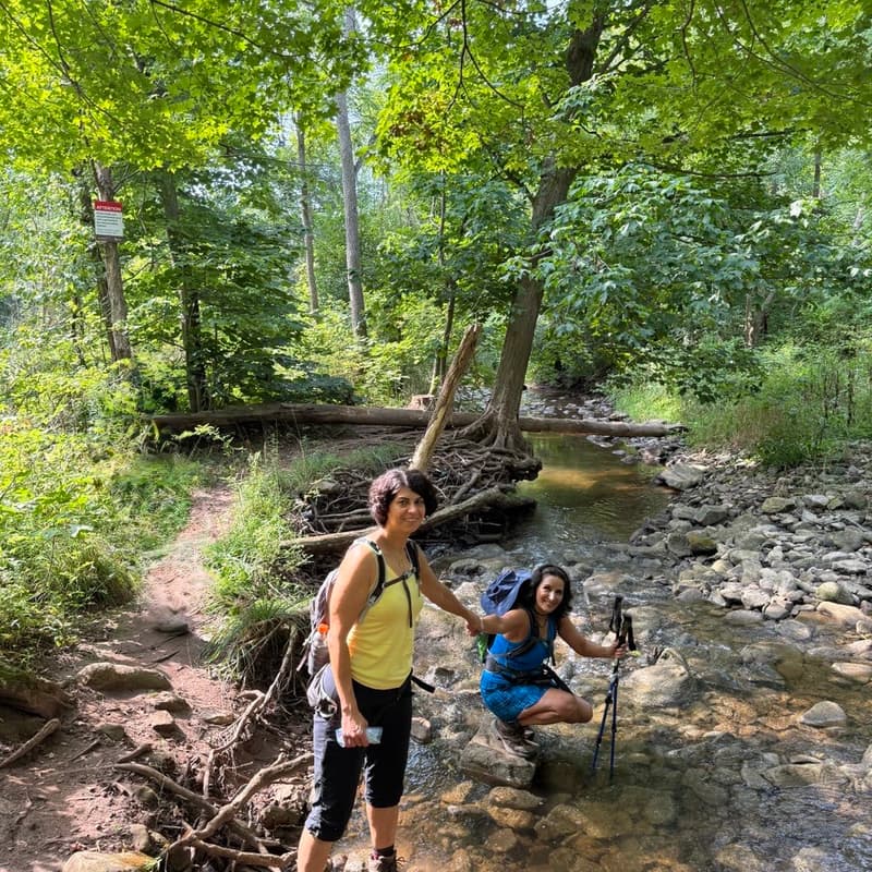 Cover Image for Smokey Hollow Waterfalls