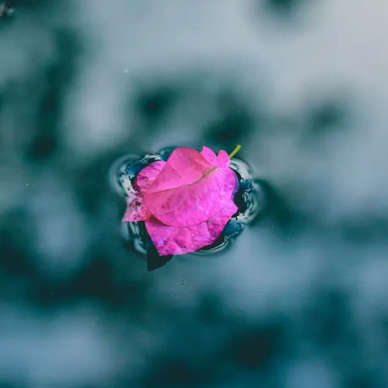 Cover Image for 🥀Offline Women Discuss Loneliness