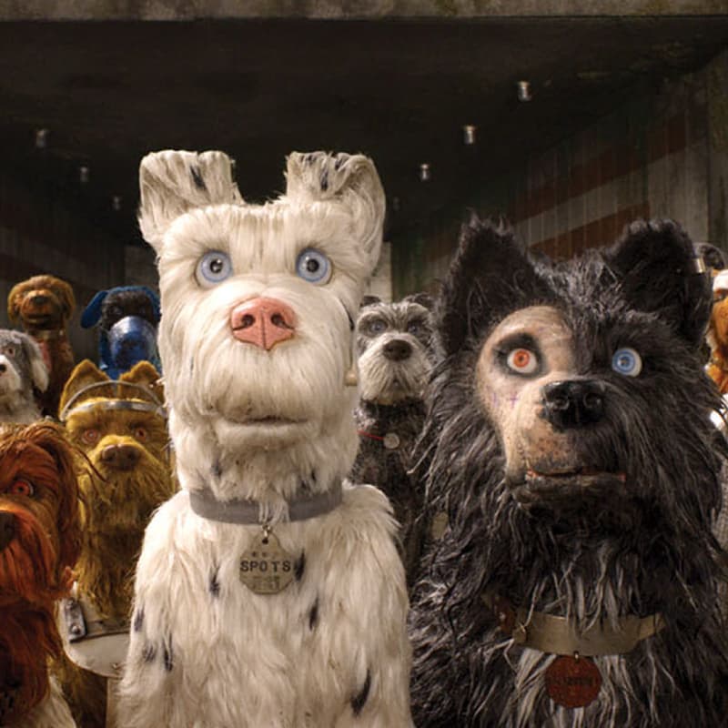 Cover Image for Ciclo de cine: Isla de Perros