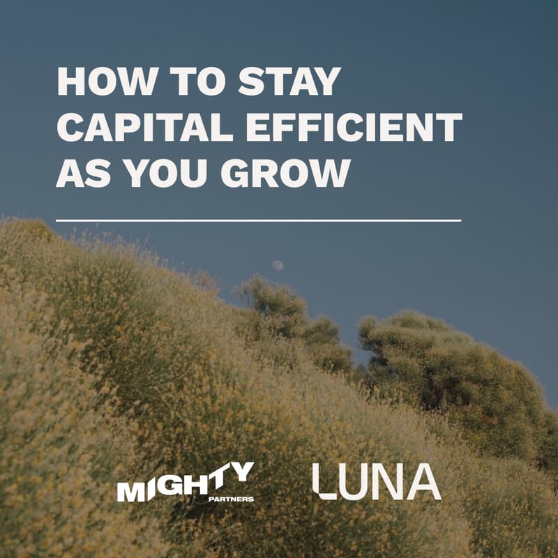 Cover Image for LUNA x Mighty: How to Stay Capital Efficient as you Grow