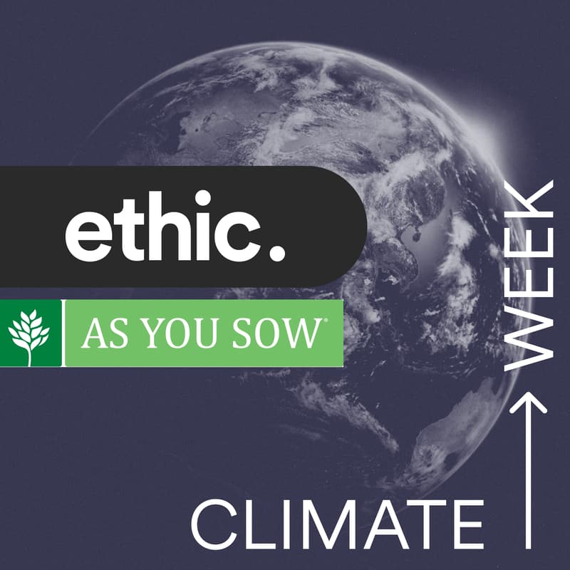 Cover Image for The Shareholders Bringing Climate Solutions to Companies