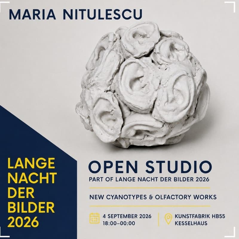 Cover Image for MARIA NITULESCU - OPEN STUDIO - LANGE NACHT DER BILDER 2026