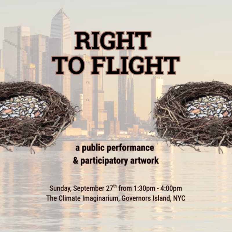 Cover Image for Right to Flight: A Public Performance & Participatory Artwork