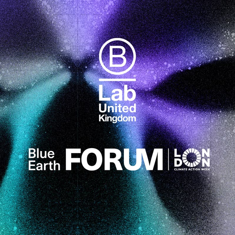 Cover Image for B Lab UK x Blue Earth: Building a Stronger Ecosystem for People and Planet