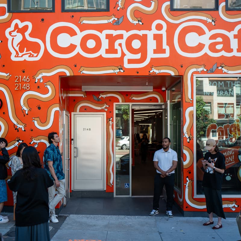 Cover Image for Corgi Cafe: Hello, Dogpatch Party