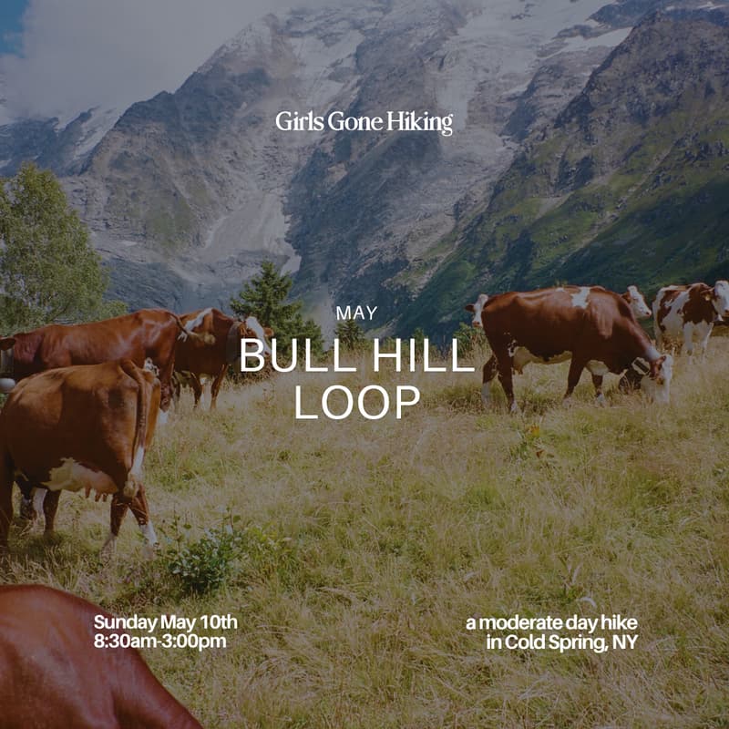 Cover Image for Bull Hill Short Loop