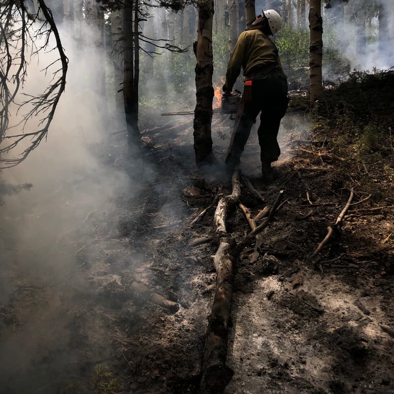 Cover Image for Healthy Forests Healthy Communities w/Hannah Jones
