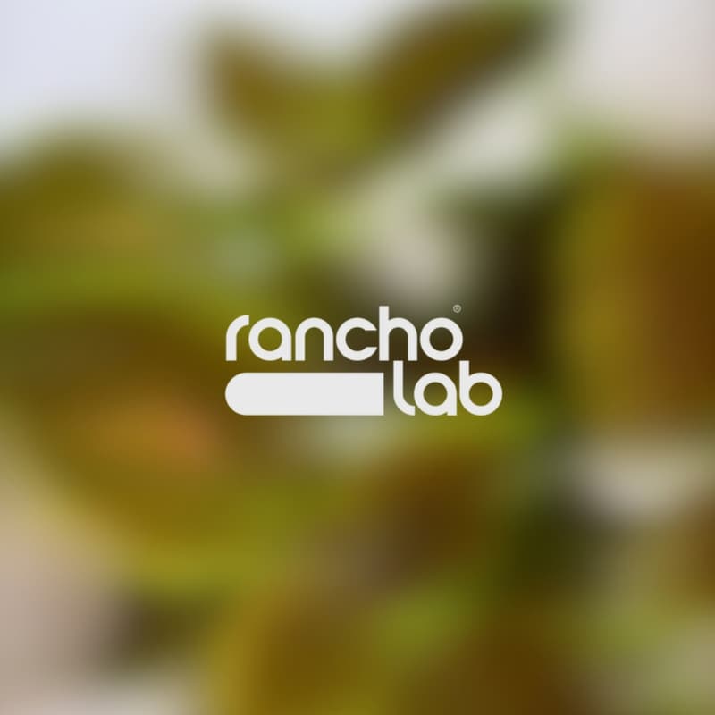 Cover Image for Rancho Lab | Encuentro #01