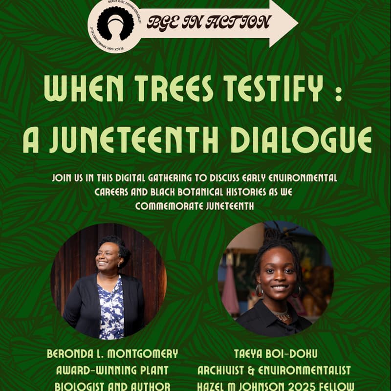 Cover Image for When Trees Testify: A Juneteenth Dialogue