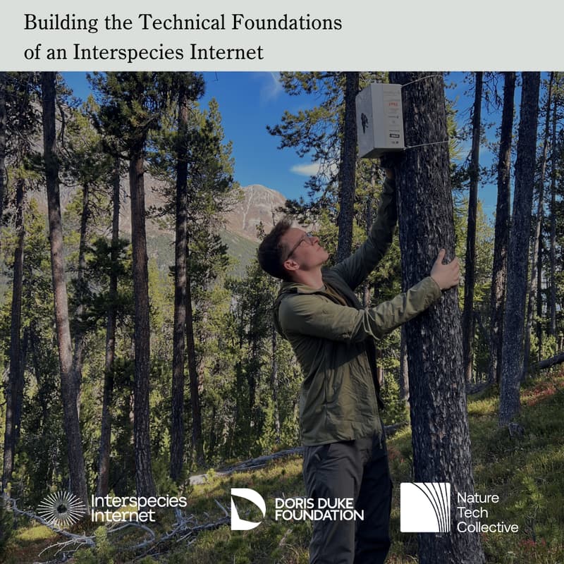 Cover Image for Building the Technical Foundations of an Interspecies Internet