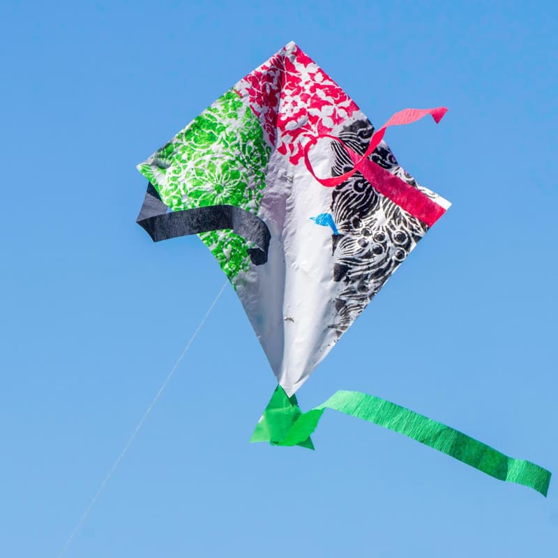 Cover Image for Berkeley Kite Festival for Palestine