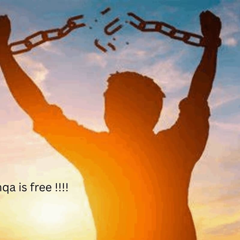 Cover Image for anqa is free: a divorce party!