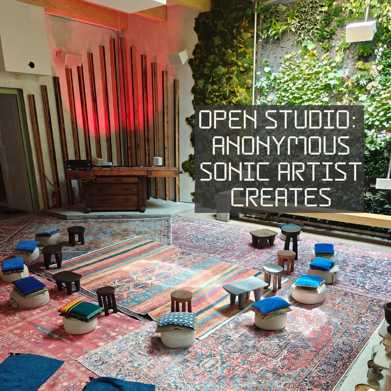 Cover Image for Anonymous Sonic Artist Creates - Open Studio