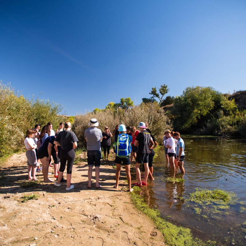 Cover Image for Watery Walk with the SLO Beaver Brigade - California