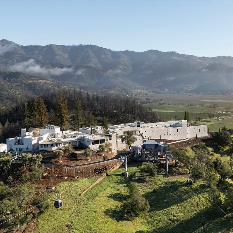 Cover Image for Brunch & Sterling Vineyards: Gondola + Hilltop Wine Tasting 🍷🚡