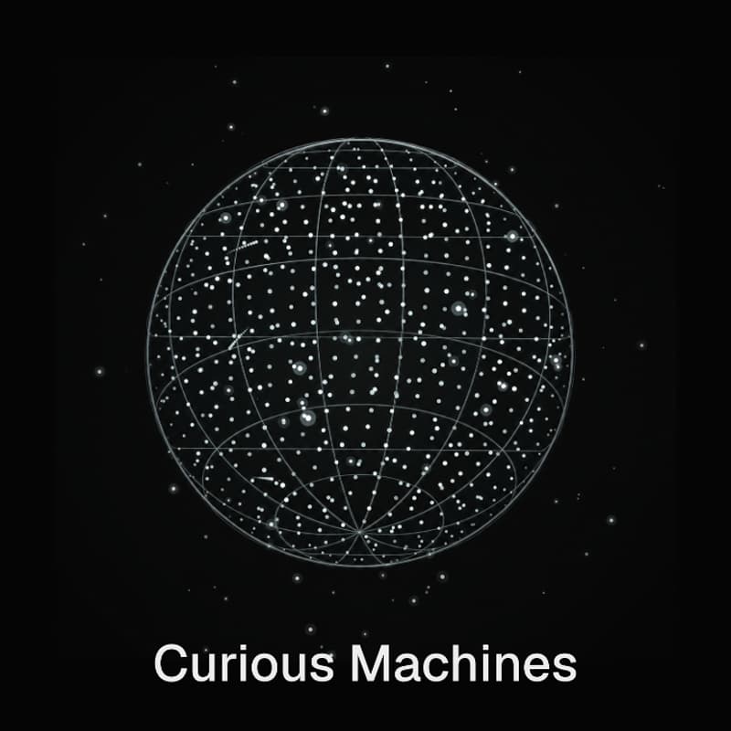 Cover Image for Curious Machines - a Talk hosted by Seldon and Matteo Saponati
