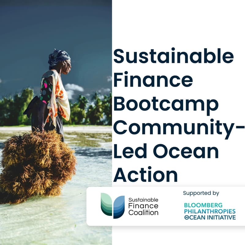 Cover Image for Sustainable Finance Bootcamp: Community-Led Ocean Action