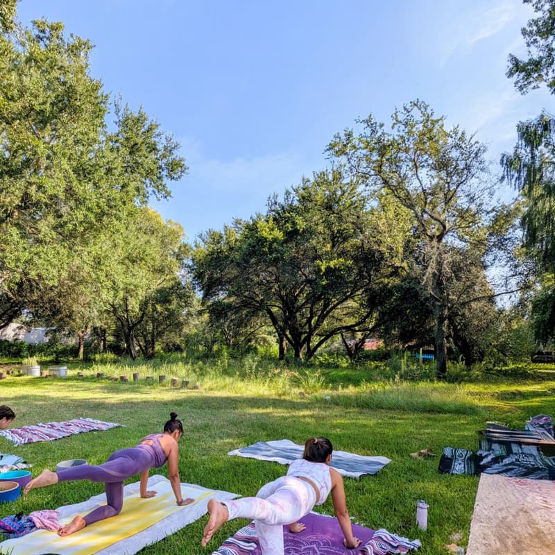 Cover Image for Sábado de Yoga & Naturaleza