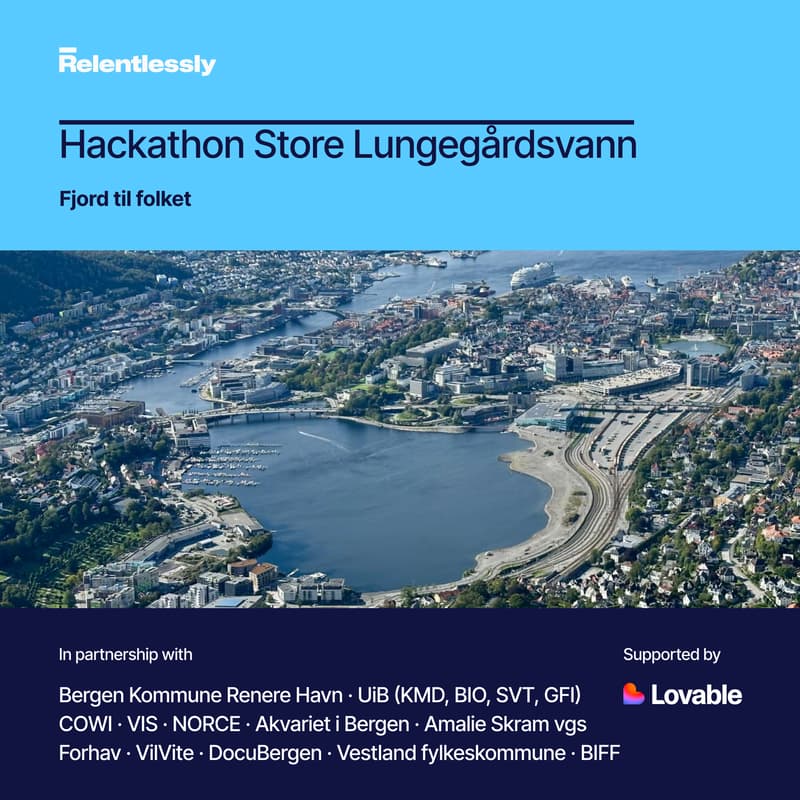 Cover Image for Hackathon Store Lungegårdsvann