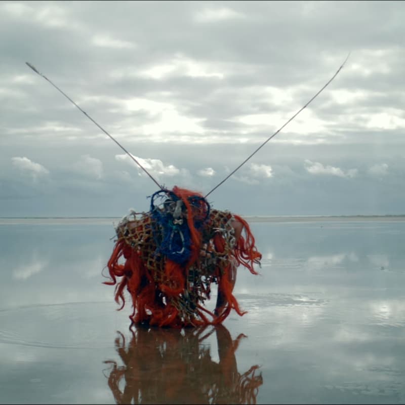 Cover Image for Share Your Fascination: Waddenzeevolk
