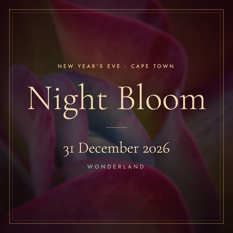 Cover Image for Night ✨ Bloom