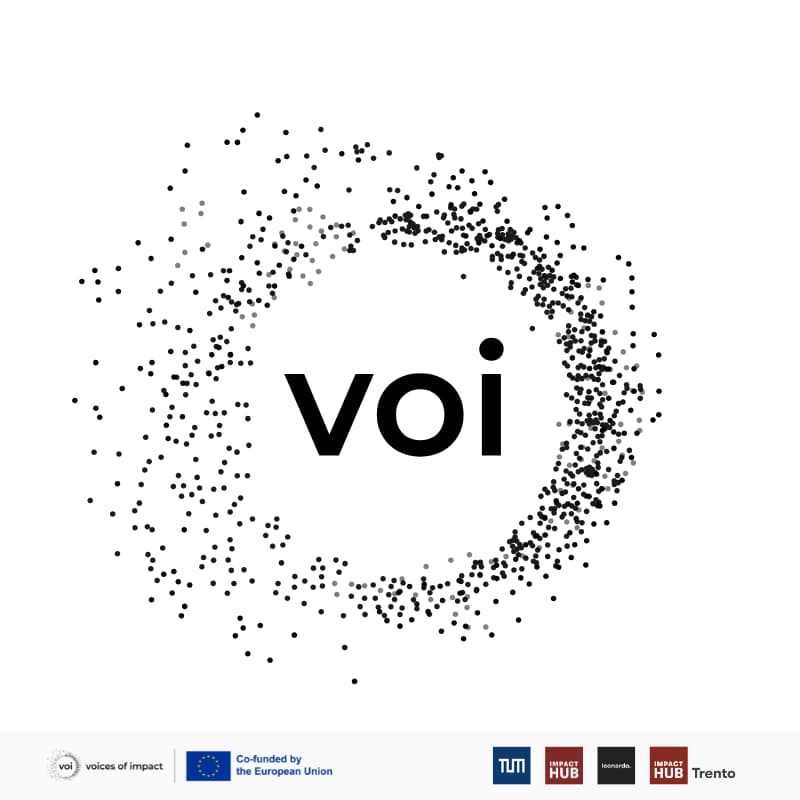 Cover Image for voi demo | for social businesses