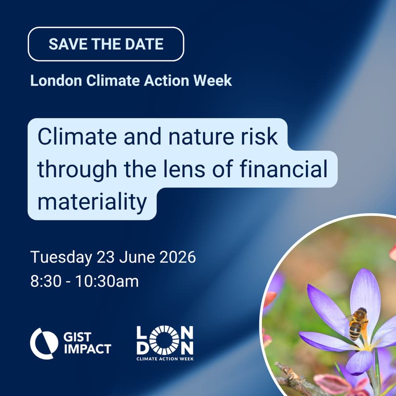 Cover Image for Climate and nature risk through the lens of financial materiality