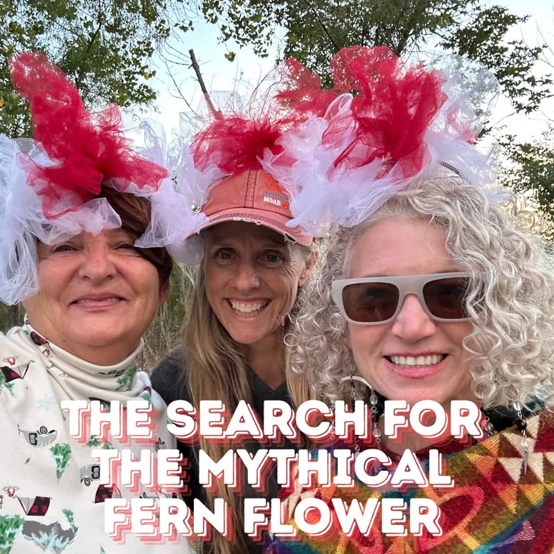 Cover Image for The Summer Solstice Festival