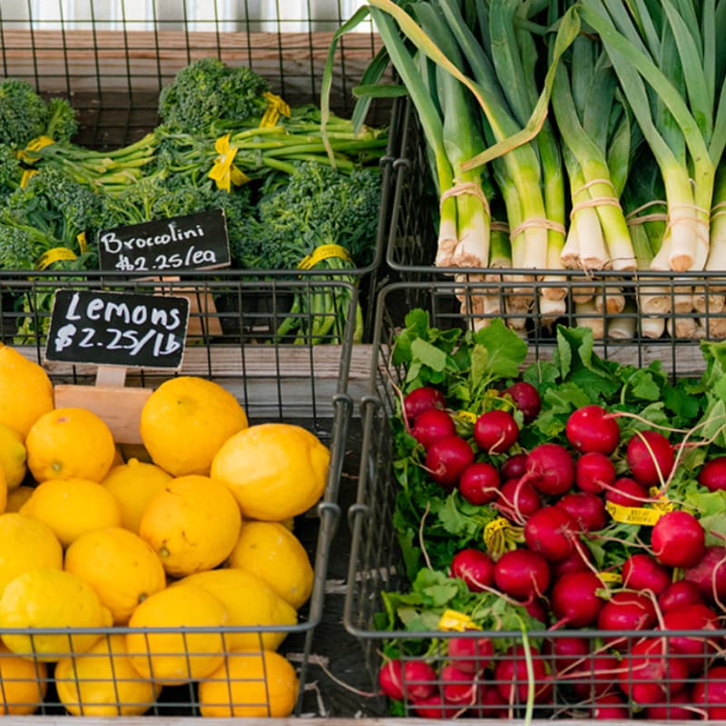 Cover Image for Farm Stand Open