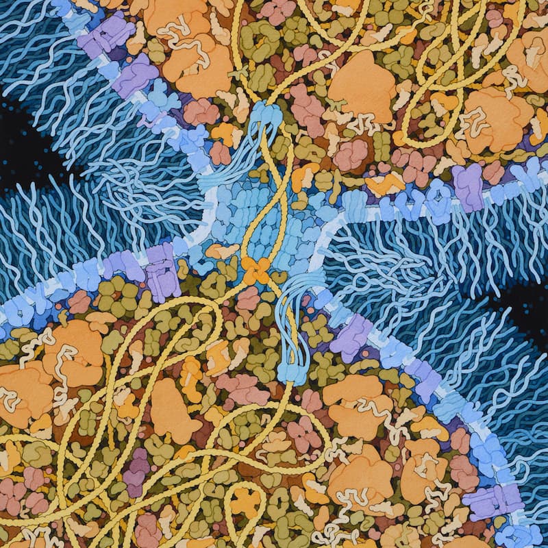 Cover Image for MOL AI NYC