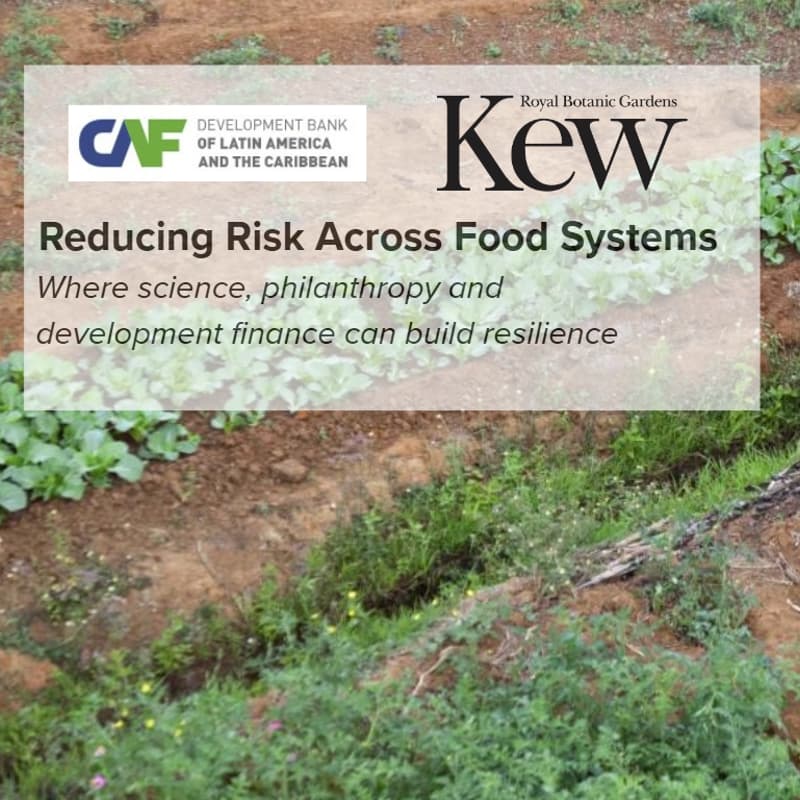 Cover Image for Reducing Risk Across Food Systems