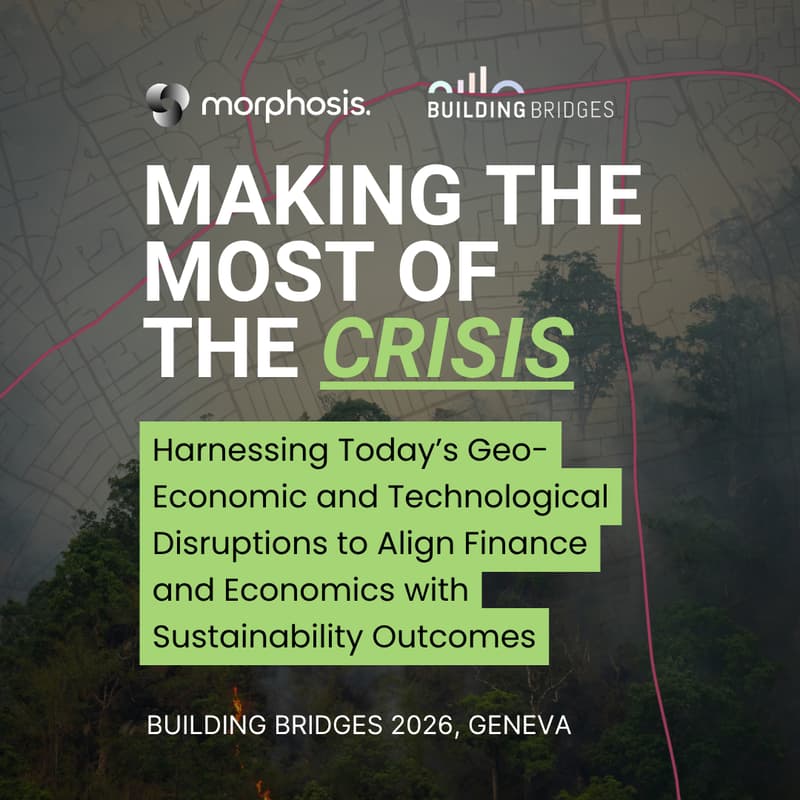 Cover Image for Making the Most of the Crisis - Harnessing Today’s Geo-Economic and Technological Disruptions to Align Finance with Sustainability Outcomes