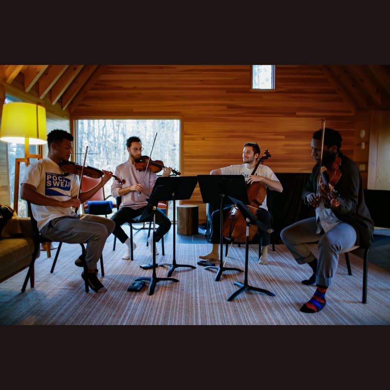 Cover Image for Renaissance String Quartet Salon