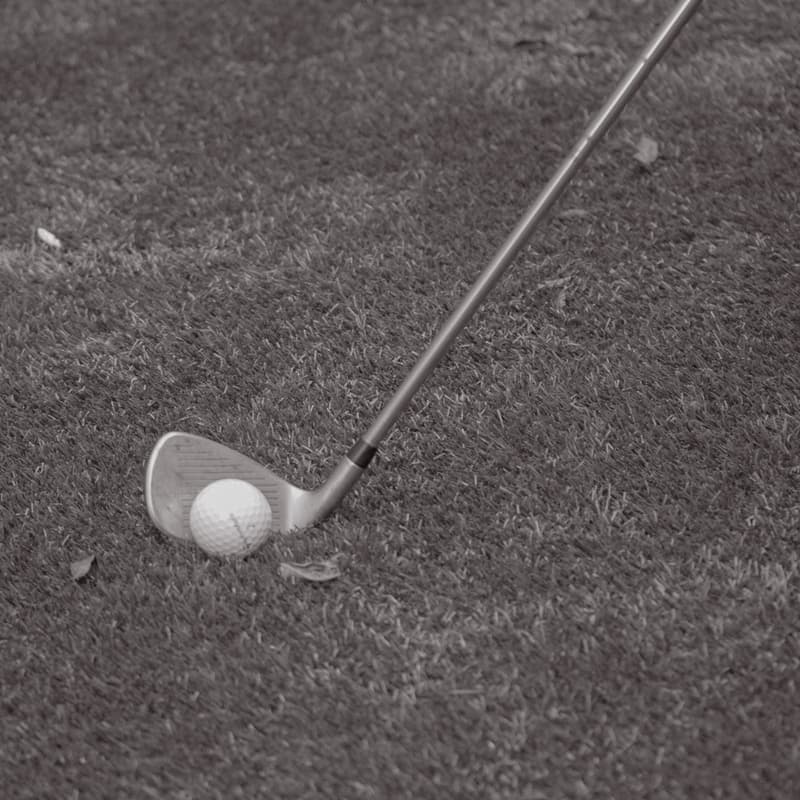 Cover Image for The Evening Nine: Golf Experience & Dinner
